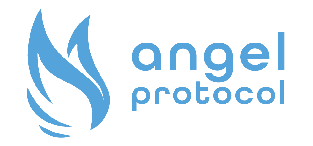Angel Alliance Social Impact